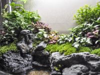 瑞草海景公寓(秦皇岛远洋海逸世家店)