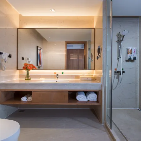 Vienna International Hotel (Xinyu Administrative Center Baowu Steel)