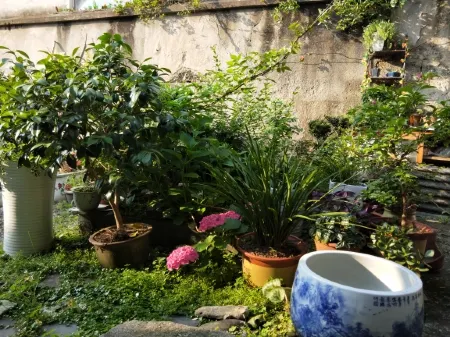 Huangshan Yongxing Hotel Отели рядом с достопримечательностью «Huizhou Cultural Park · Huashang Villa - Swimming Pool»