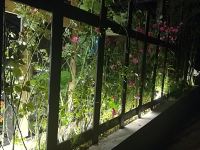 仙女山溪溪家酒店 - 花园