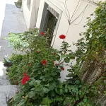 Xiaojin Lujia Hotel Các khách sạn ở Tiểu Kim