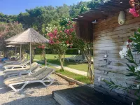 Alesta Yacht Hotel - Beach