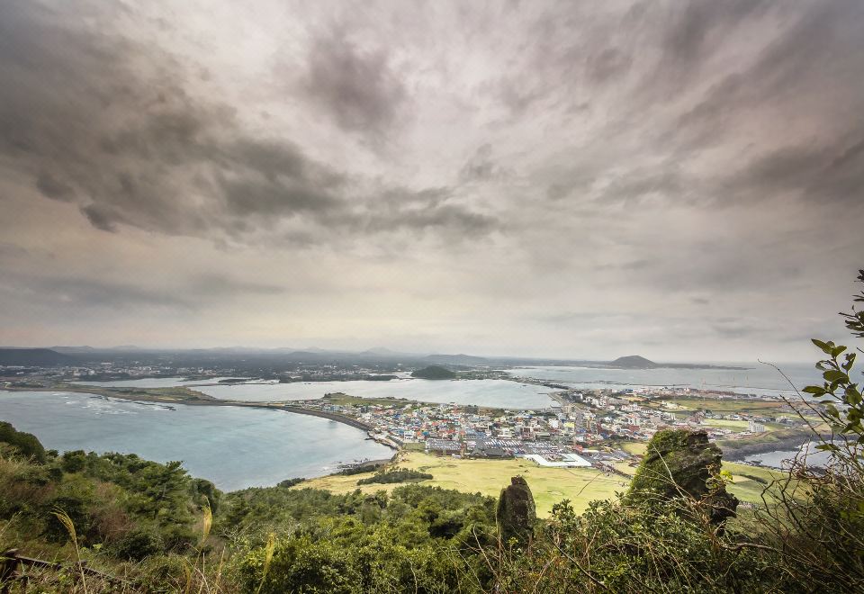 호텔아로하 썸네일