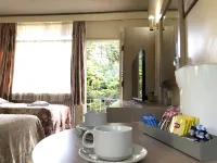The Clarendon Motel Katoomba Hotels near Bridal Veil Falls Track