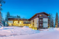 Aplend Wellness Hotel Borovica Hotels near Jazero Štrbské pleso