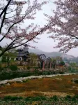 Country Farm Stay