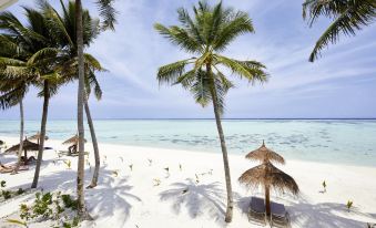 Riu Atoll-All Inclusive