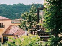 武夷山里约Mini L Inn公寓 - 曙光山景阳台大床房