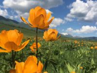 布尔津禾木118客栈