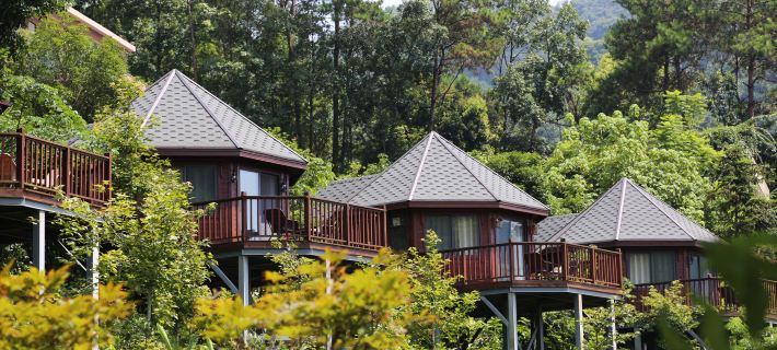 Hezhou Senbake Estate Treehouse Homestay Hotel a Hezhou