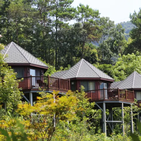 Hezhou Senbake Estate Treehouse Homestay