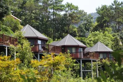 Sunbar Treehouse Hotel Các khách sạn ở Hà Châu