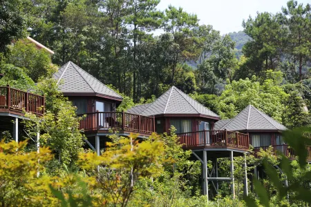 Sunbar Treehouse Hotel Отели в г. Хэчжоу