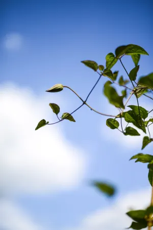 HUANGYEJI Отели рядом с достопримечательностью «Nuodeng Old Village»