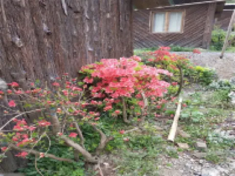 績溪逍遙山莊 鄰近安徽清涼峰國家級自然保護區珍稀植物園的酒店