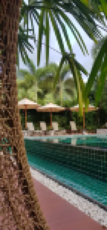 芭東布亞斯里精品飯店 那奈路附近的飯店