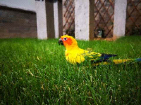 关中原宿(礼泉袁家村店) - 其他