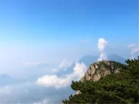 Qufu Back Street Nuanyang Homestay