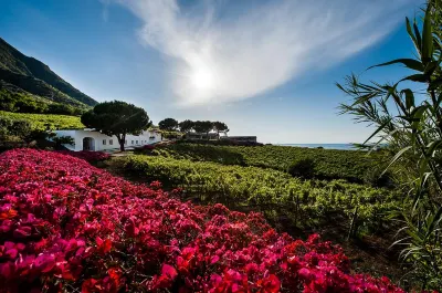 Capofaro Locanda & Malvasia Hotel dekat Carlo Hauner Azienda Agricola