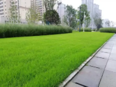 鳳舍精選飯店（鄭州大學高新萬科廣場店） 跳海酒館（須水河東路店）附近的飯店