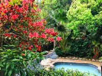 Mangshan Forest Hot Spring Hotel - Hot Springs
