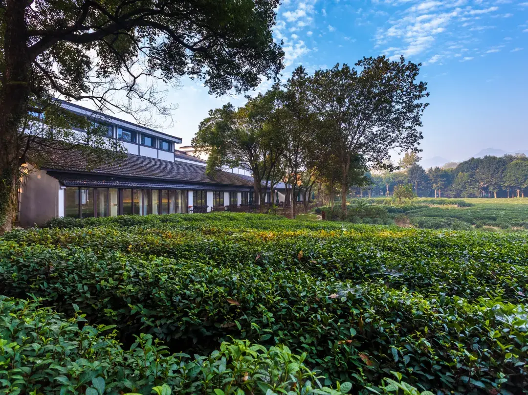 Shusheng. No.1 Courtyard Of True Floor Heating - Hangzhou
