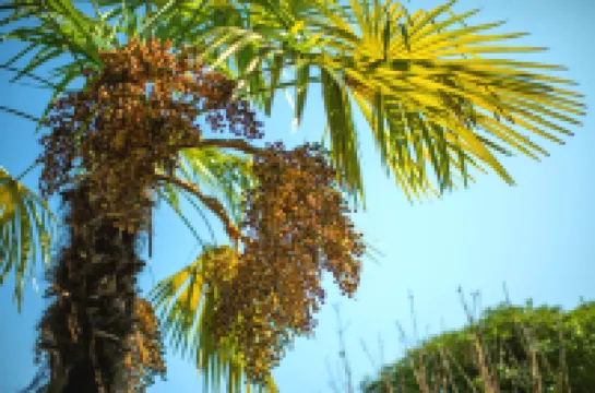 Zhangjiajie Tianmen Mountain Villa (Tianmen Mountain Scenic Area, Lotus Airport Store)