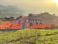 Wugong Mountain Jinding Tent Accommodation