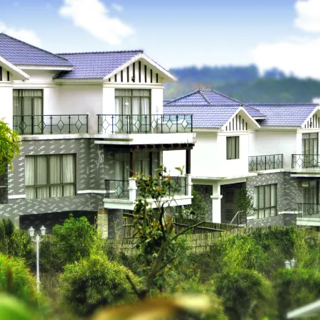 Palace International Hot Spring Hotel