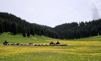 Ergunen and Frakimir Family Hotel