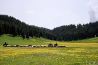 Ergunen and Frakimir Family Hotel