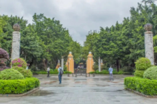 Green lemon tree International Apartment