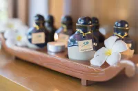 Gangga Island Resort & Spa - spa