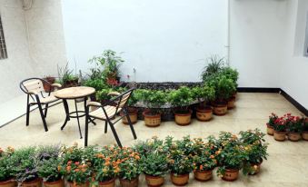 Xianju Danzhu Qingfeng Homestay