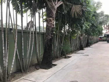 รูปภาพของชบาแก้ว รีสอร์ท