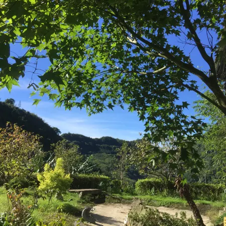 Dang Guei Homestay
