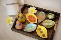 Chimelong Penguin Hotel - spa