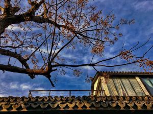 Suzhou Shenyuan Tea Space Homestay (Dongshan Luxiang Ancient Village Branch)