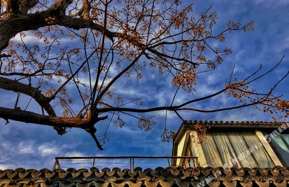 蘇州沈園茶空間民宿（東山陸巷古村店）