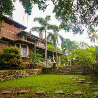 Airport Green Olive Villa Hotel Exterior
