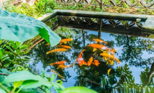 Hongzhuanwu Wensu Hotel