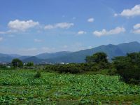 仙居神仙居乡间小憩休闲度假民宿 - 酒店景观