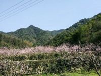 绍兴山景精致民宿 - 酒店外部