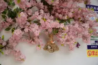 Anyu · Wooden House - Pet friendly