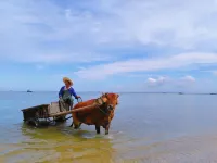 Xuwen Antarctic Village Artist Tribe