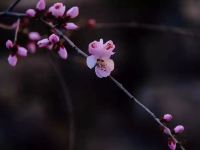 黄花城水长城山城庄园 - 酒店附近