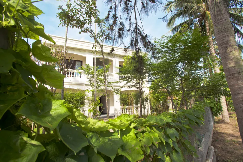 Palm View Villa