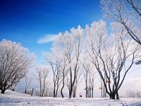 万科松花湖青山Jenny雪景公寓 - 其他