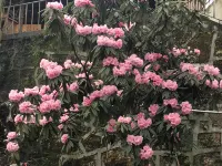 Yindingfeng Hotel