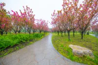 Quanjiao bifeng Hotel